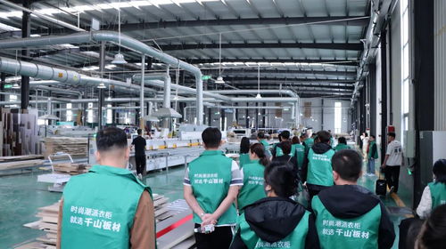 尋本溯源丨河北經銷商實地探廠,揭秘千山板材背后的全產業鏈實力 舟中敵國網