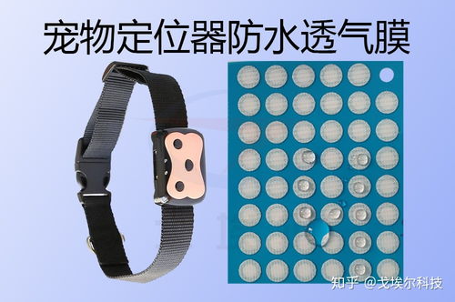 解密寵物定位器IP67防水設(shè)計(jì) 透氣膜的科技之道